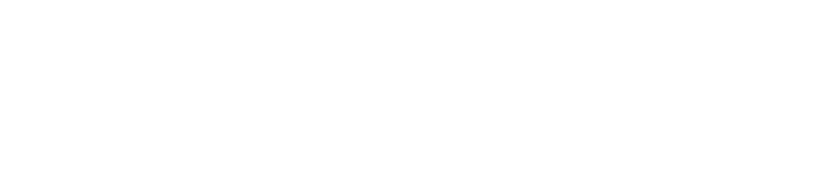Timspark logo white